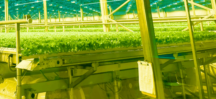 greenhouse9